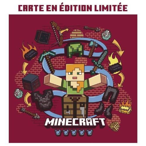 PANINI - Minecraft - L'album - Photo n°3; ?>