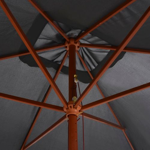 Parasol d'extérieur avec mât en bois 200 x 300 cm Anthracite - Photo n°2; ?>