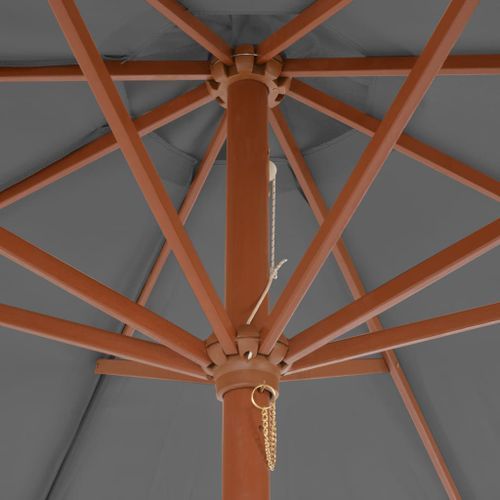 Parasol d'extérieur avec mât en bois 300 cm Anthracite - Photo n°2; ?>