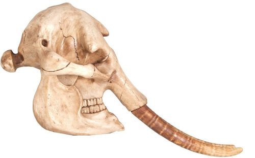 Sculpture crâne d'éléphante résine naturel vieilli Ouri - Photo n°2; ?>