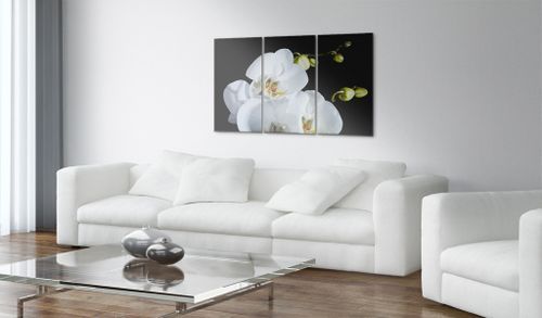Tableau Orchidée blanche comme neige - Photo n°2; ?>