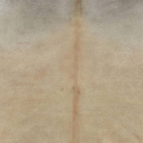 Tapis en peau de vache véritable 150 x 170 cm Beige - Photo n°3; ?>