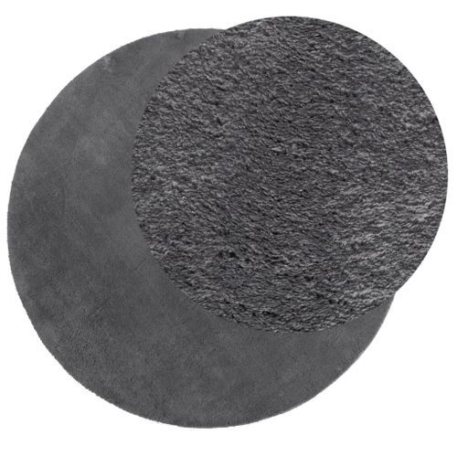 Tapis HUARTE à poils courts doux et lavable anthracite Ø 100 cm - Photo n°3; ?>