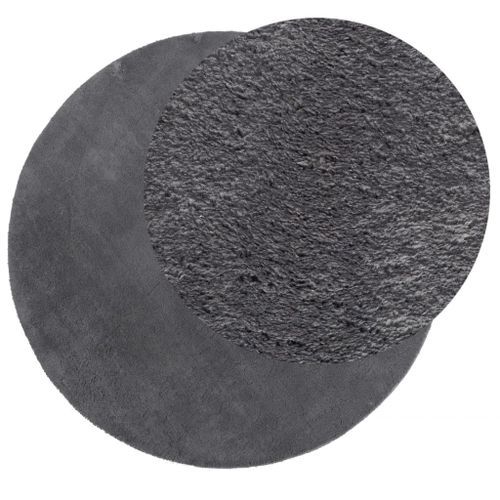 Tapis HUARTE à poils courts doux et lavable anthracite Ø 80 cm - Photo n°3; ?>