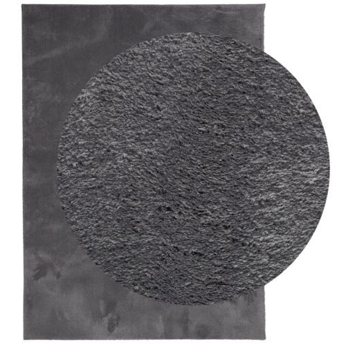 Tapis HUARTE à poils courts doux lavable anthracite 120x170 cm - Photo n°3; ?>