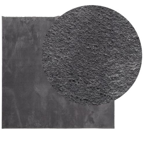 Tapis HUARTE à poils courts doux lavable anthracite 160x160 cm - Photo n°3; ?>