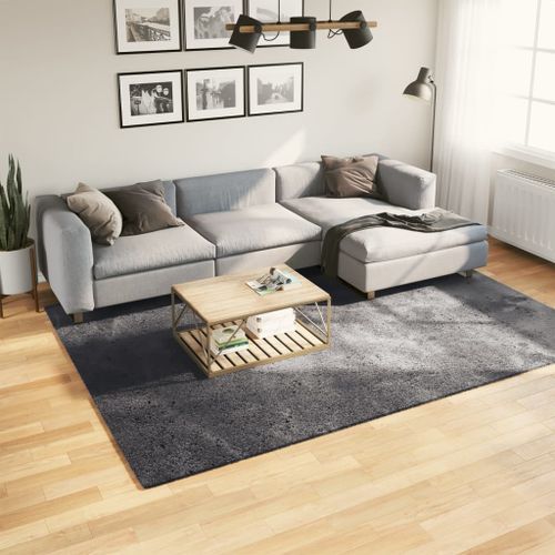 Tapis HUARTE à poils courts doux lavable anthracite 200x280 cm - Photo n°2; ?>