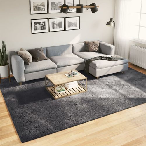 Tapis HUARTE à poils courts doux lavable anthracite 240x340 cm - Photo n°2; ?>