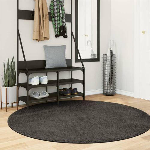 Tapis ISTAN à poils longs aspect brillant anthracite Ø 160 cm - Photo n°2; ?>