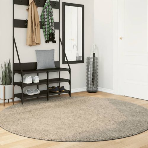 Tapis ISTAN à poils longs aspect brillant beige Ø 200 cm - Photo n°2; ?>