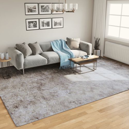 Tapis lavable gris 400x300 cm antidérapant - Photo n°2; ?>