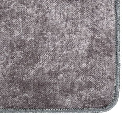 Tapis lavable gris 400x300 cm antidérapant - Photo n°3; ?>