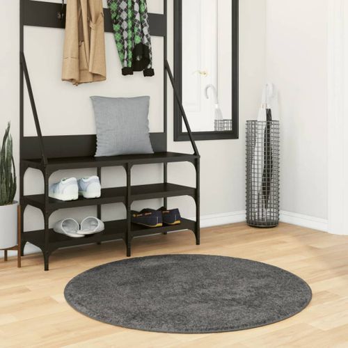 Tapis OVIEDO à poils courts anthracite Ø 100 cm - Photo n°2; ?>