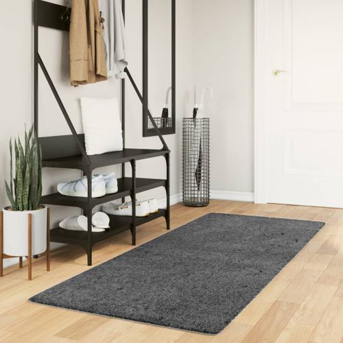 Tapis OVIEDO à poils courts anthracite 80x200 cm - Photo n°2; ?>