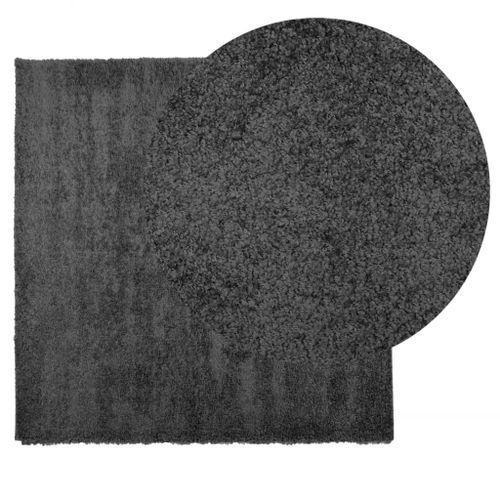 Tapis shaggy à poils longs moderne anthracite 120x120 cm - Photo n°3; ?>