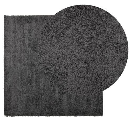 Tapis shaggy à poils longs moderne anthracite 160x160 cm - Photo n°3; ?>