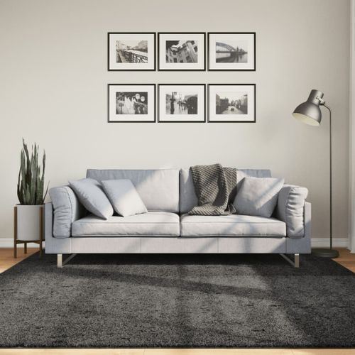 Tapis shaggy à poils longs moderne anthracite 200x200 cm - Photo n°2; ?>