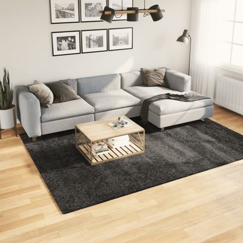 Tapis shaggy à poils longs moderne anthracite 200x280 cm - Photo n°2; ?>