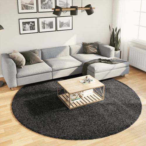 Tapis shaggy à poils longs moderne anthracite Ø 240 cm - Photo n°2; ?>