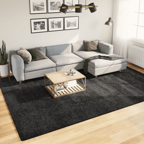 Tapis shaggy à poils longs moderne anthracite 240x340 cm - Photo n°2; ?>