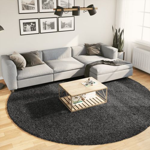 Tapis shaggy à poils longs moderne anthracite Ø 280 cm - Photo n°2; ?>