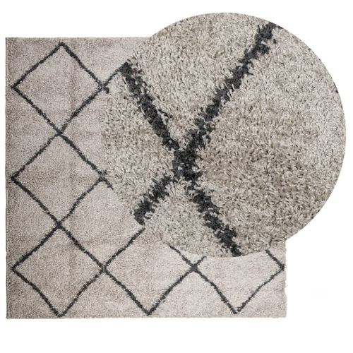 Tapis shaggy à poils longs moderne beige anthracite 120x120 cm - Photo n°3; ?>