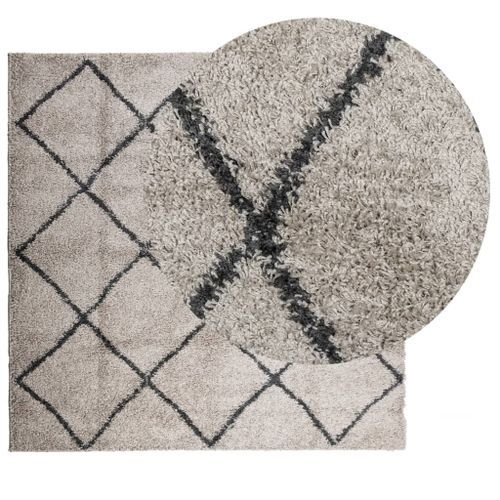 Tapis shaggy à poils longs moderne beige anthracite 160x160 cm - Photo n°3; ?>