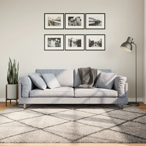 Tapis shaggy à poils longs moderne beige anthracite 200x200 cm - Photo n°2; ?>