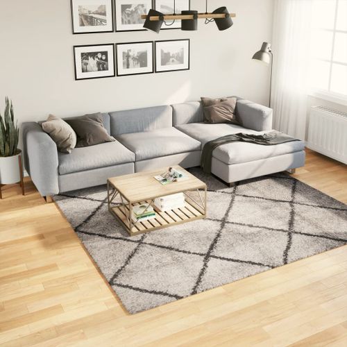 Tapis shaggy à poils longs moderne beige anthracite 240x240 cm - Photo n°2; ?>