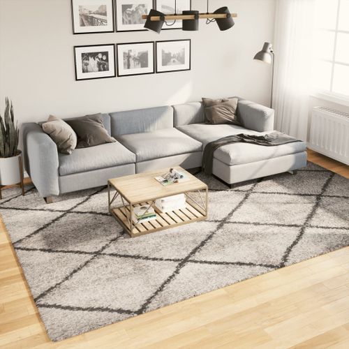 Tapis shaggy à poils longs moderne beige anthracite 240x340 cm - Photo n°2; ?>