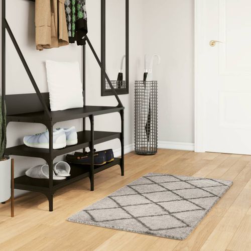 Tapis shaggy à poils longs moderne beige anthracite 60x110 cm - Photo n°2; ?>