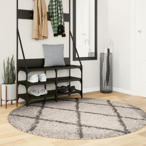 Tapis shaggy à poils longs moderne beige et anthracite Ø 160 cm - Photo n°2; ?>