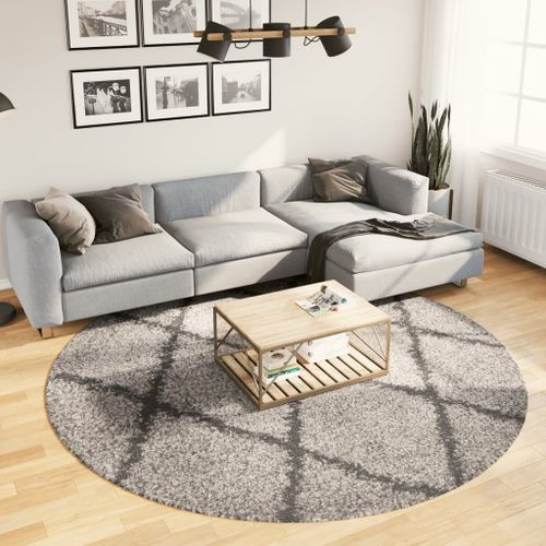 Tapis shaggy à poils longs moderne beige et anthracite Ø 240 cm - Photo n°2; ?>