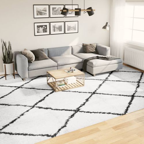 Tapis shaggy à poils longs moderne crème et noir 300x400 cm - Photo n°2; ?>