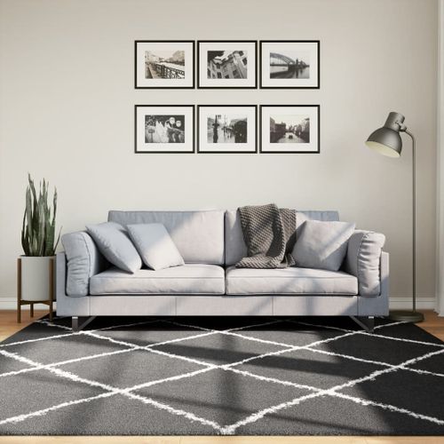 Tapis shaggy à poils longs moderne noir et crème 200x200 cm - Photo n°2; ?>