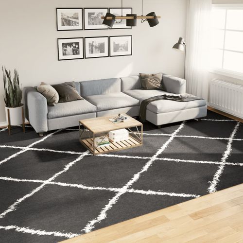 Tapis shaggy à poils longs moderne noir et crème 300x400 cm - Photo n°2; ?>