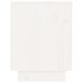 Photo n°4