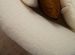 Photo n°5