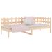 Photo n°6