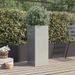 Photo n°3