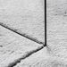 Photo n°8