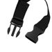 Photo n°12
