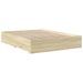 Photo n°6