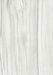 Photo n°5