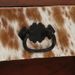 Photo n°4
