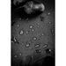 Photo n°5