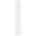 Photo n°5