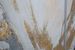 Photo n°4