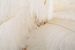 Photo n°5