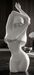 Photo n°6